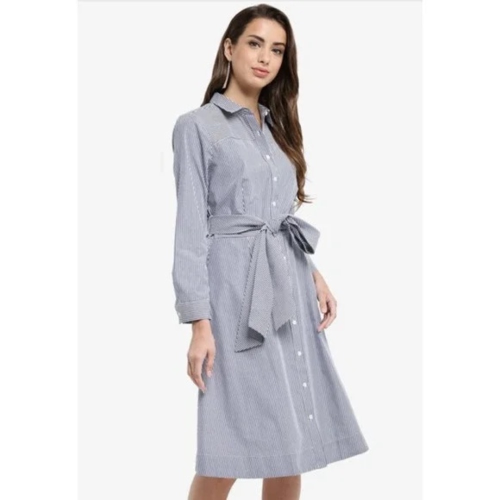J.Crew Maribou Navy Stripe Shirtdress